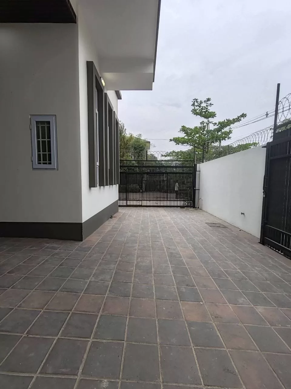 photo_5_2026-03-19_22-17-34