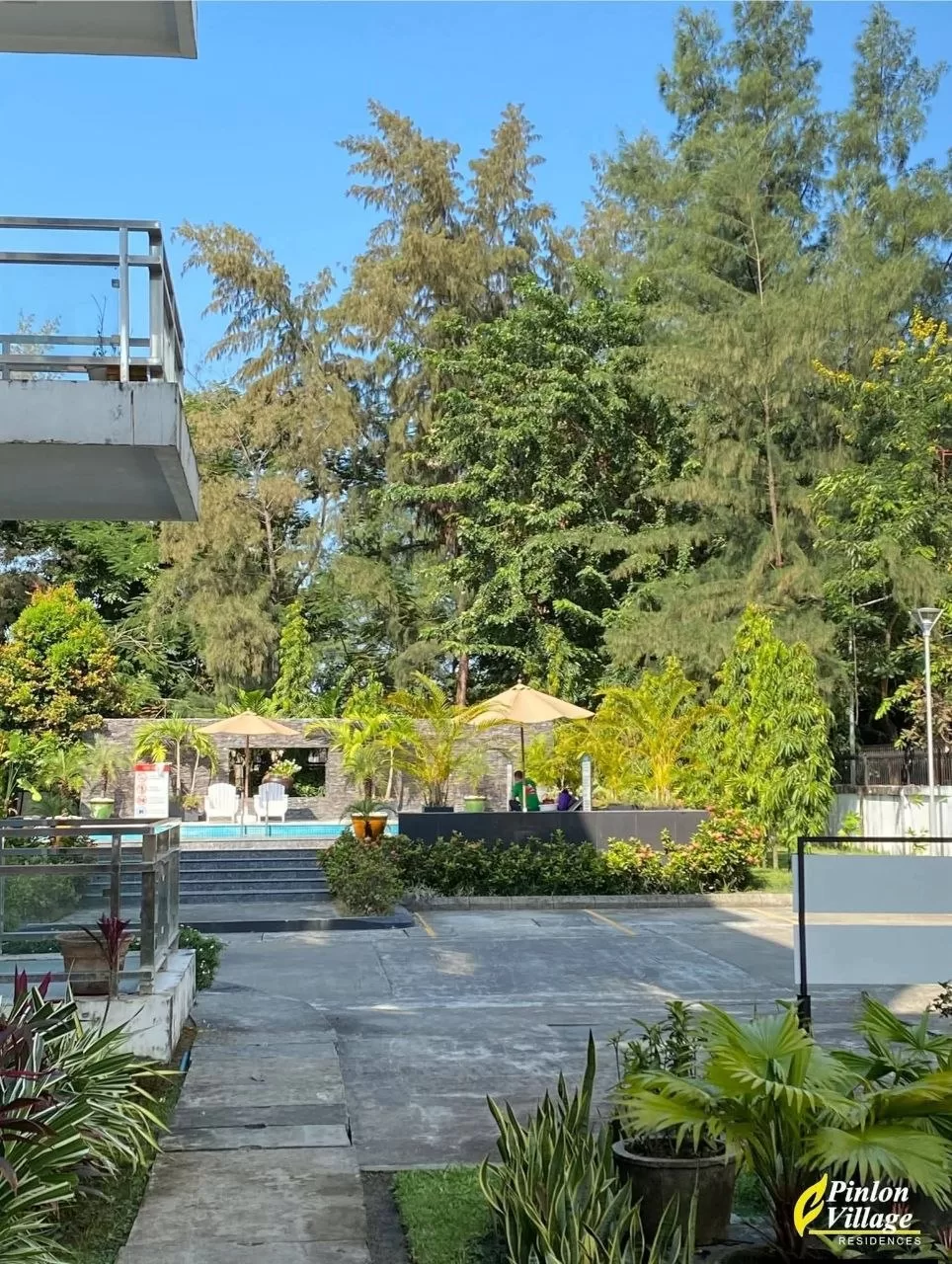 photo_5_2026-03-21_23-58-26