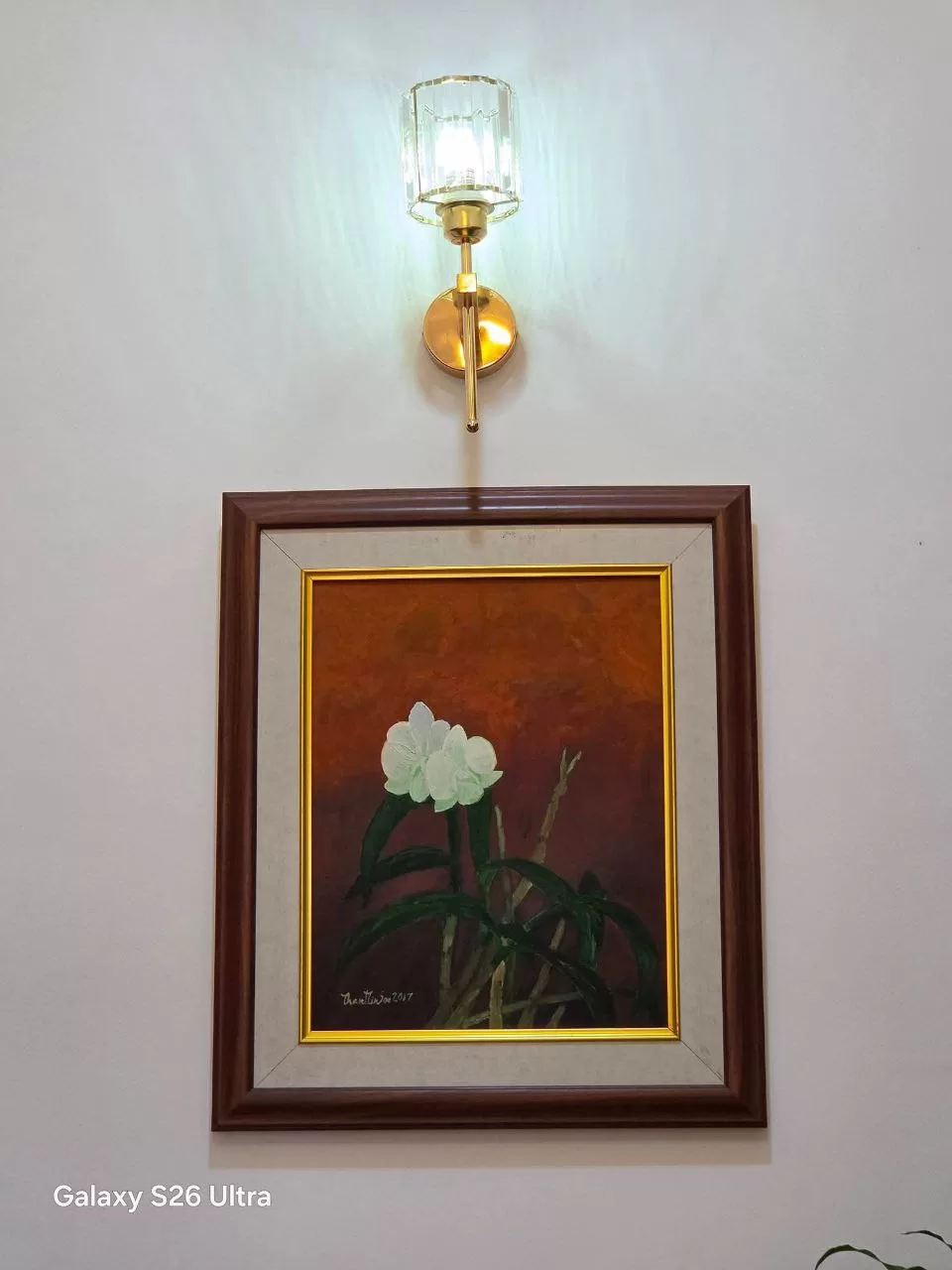 photo_6_2026-03-21_23-54-34