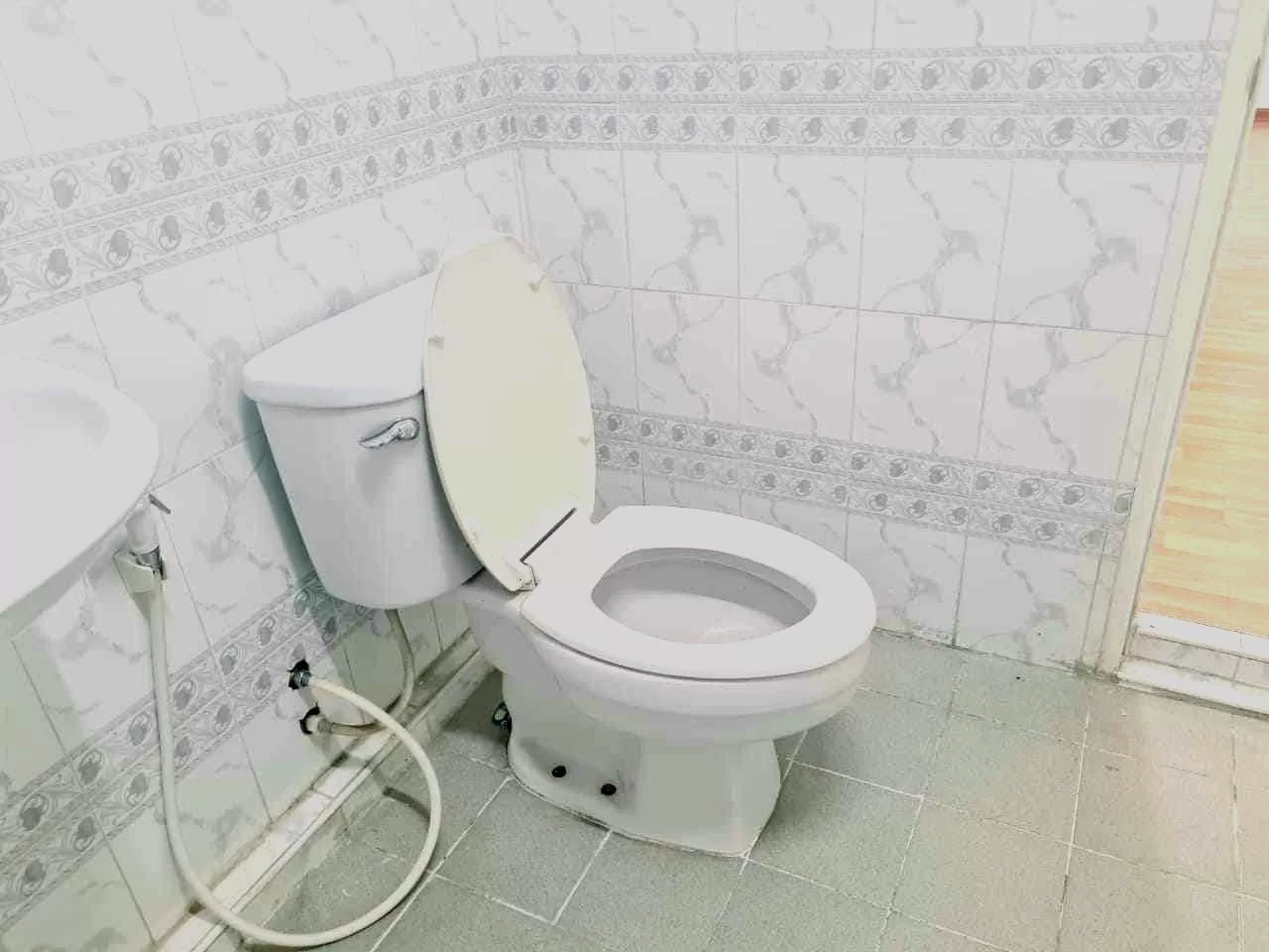 photo_7_2026-03-20_12-09-12