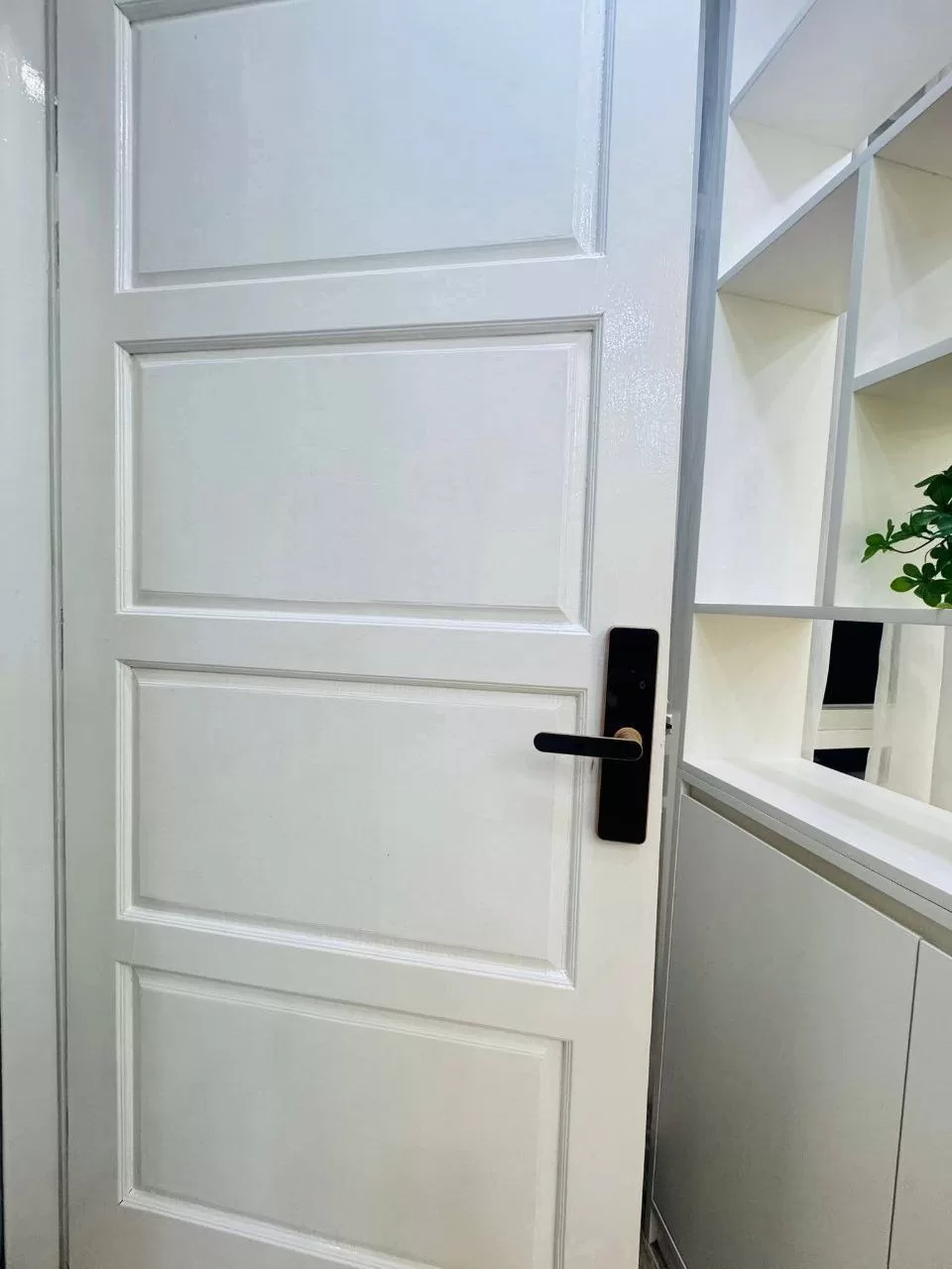 photo_9_2026-03-19_22-41-54