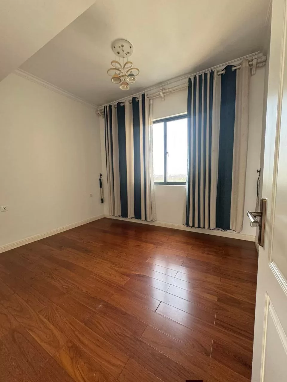 photo_9_2026-03-22_00-26-58